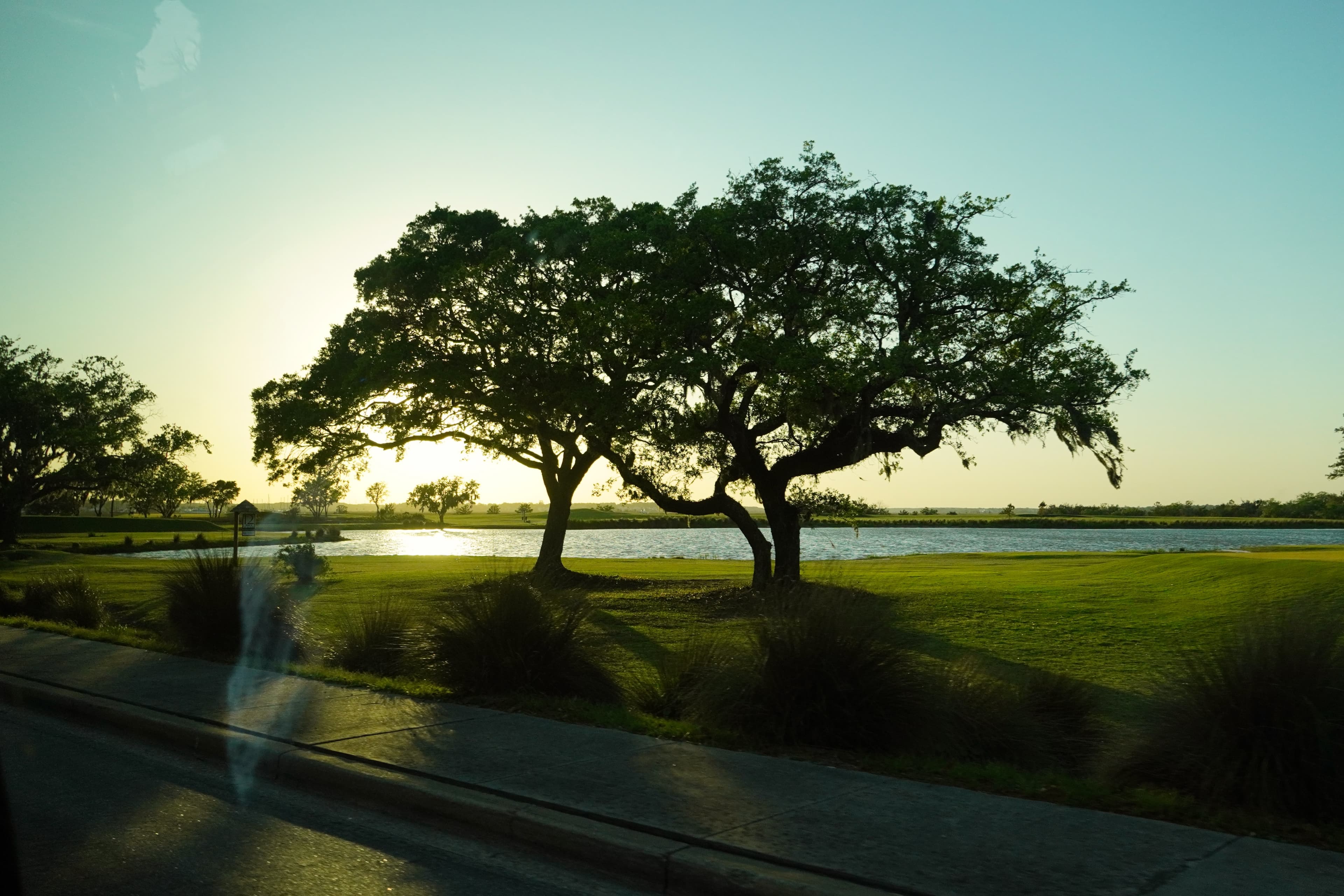 afternoon glow on the east coast