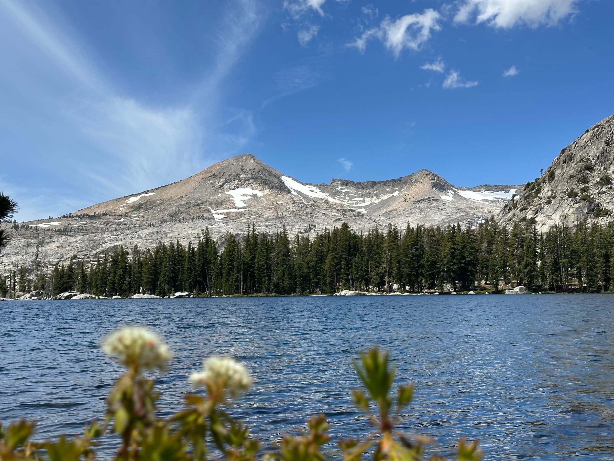 flowers, water, mountains